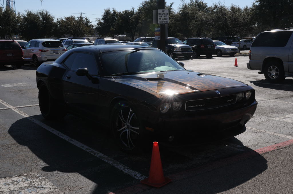 NARBC Arlington 2013  Feb 23-24, 2013