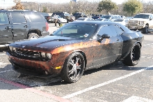 NARBC Arlington 2013  Feb 23-24, 2013