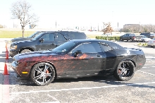 NARBC Arlington 2013  Feb 23-24, 2013