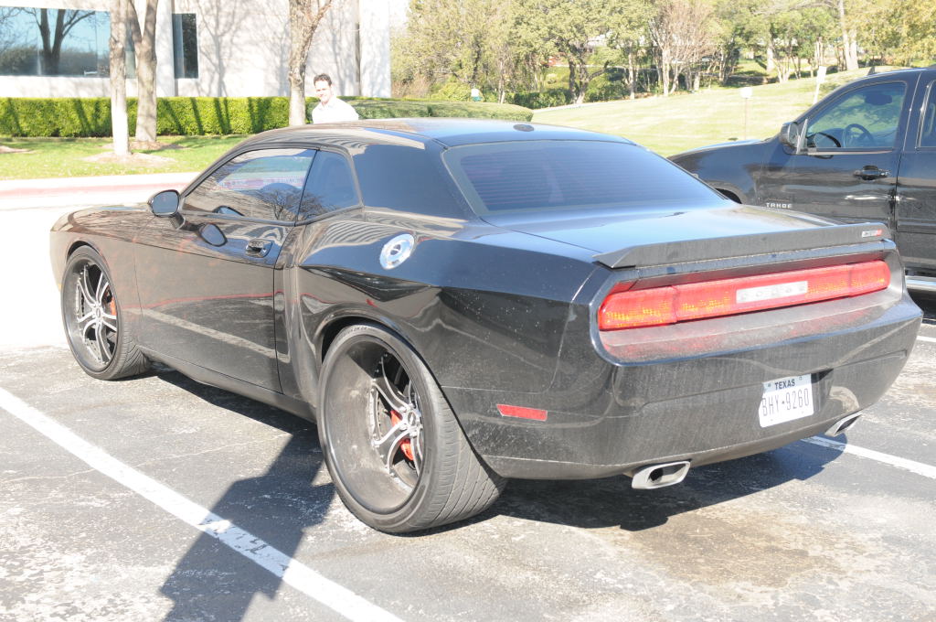 NARBC Arlington 2013  Feb 23-24, 2013