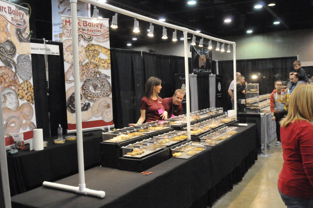 NARBC Arlington 2013  Feb 23-24, 2013