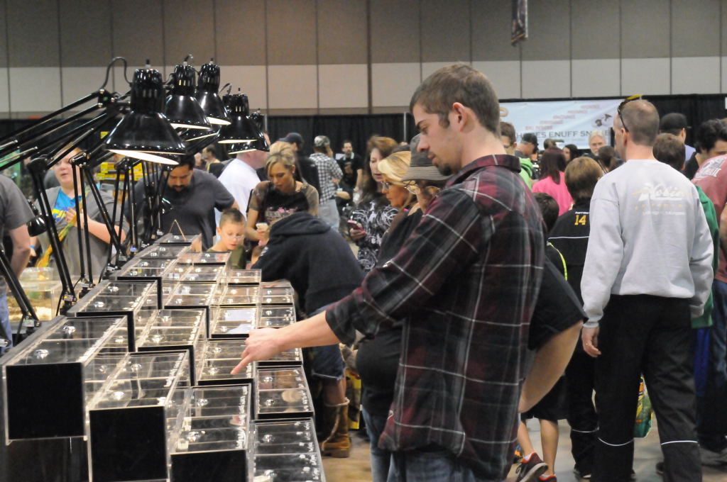 NARBC Arlington 2013  Feb 23-24, 2013