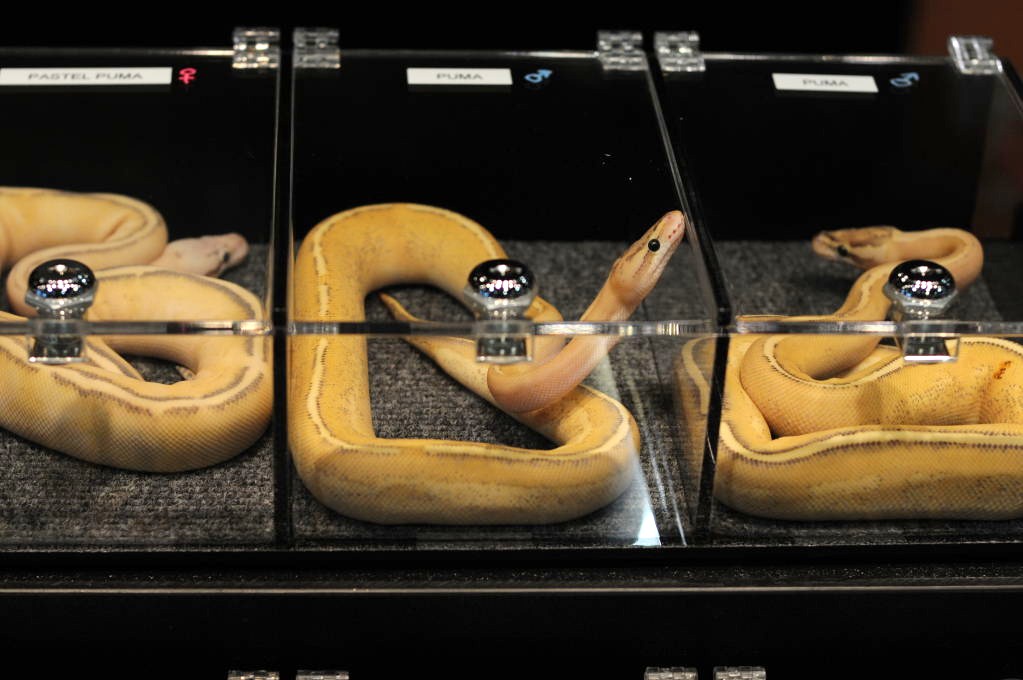 NARBC Reptile Law Summit Tinley Park Illinois