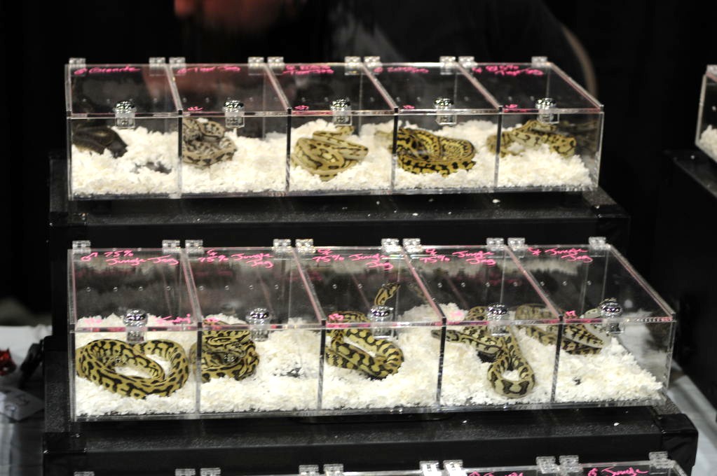 NARBC Reptile Law Summit Tinley Park Illinois