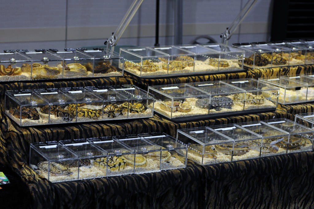 NARBC Reptile Law Summit Tinley Park Illinois