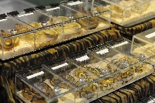NARBC Reptile Law Summit Tinley Park Illinois