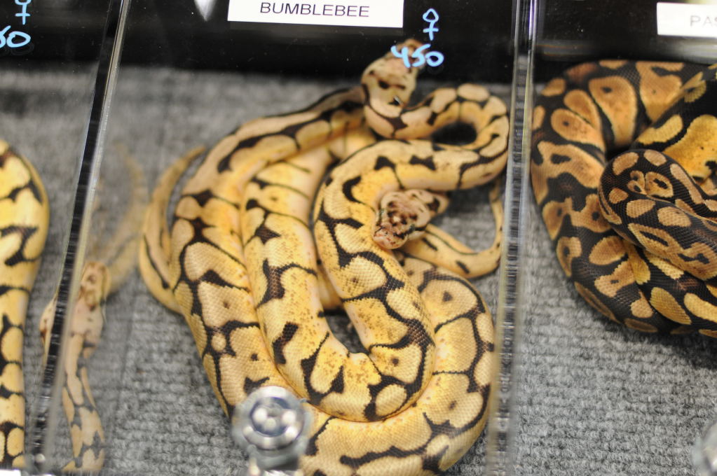 NARBC Reptile Law Summit Tinley Park Illinois
