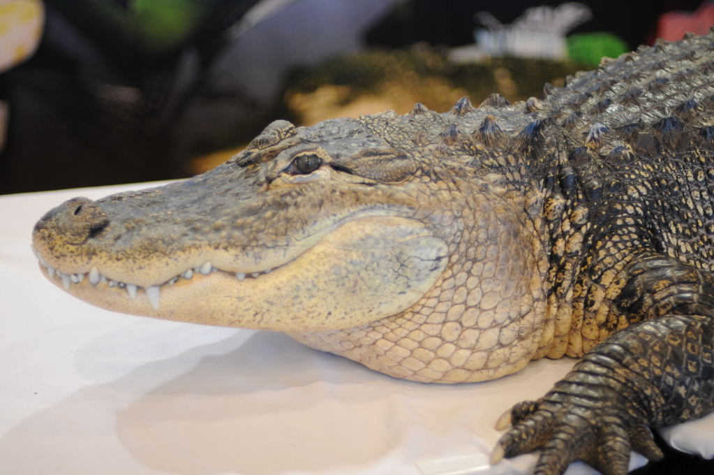 NARBC Reptile Law Summit Tinley Park Illinois
