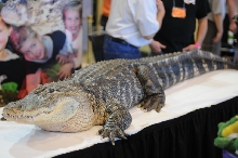 NARBC Reptile Law Summit Tinley Park Illinois