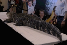 NARBC Reptile Law Summit Tinley Park Illinois
