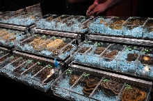 NARBC Reptile Law Summit Tinley Park Illinois