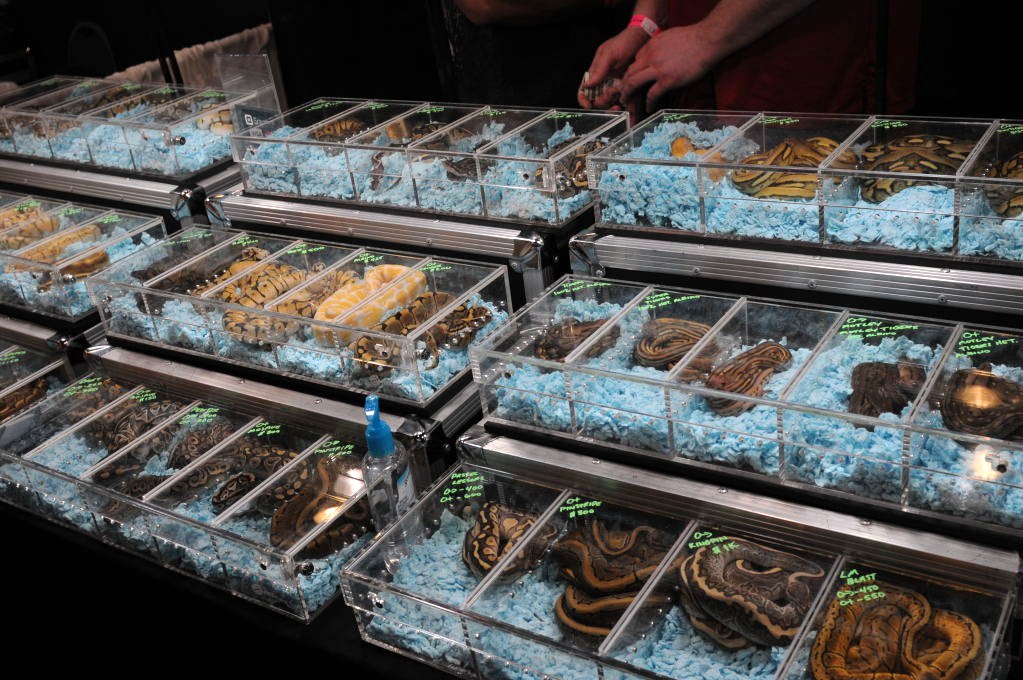 NARBC Reptile Law Summit Tinley Park Illinois