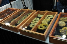 NARBC Reptile Law Summit Tinley Park Illinois