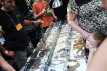 NARBC Reptile Law Summit Tinley Park Illinois
