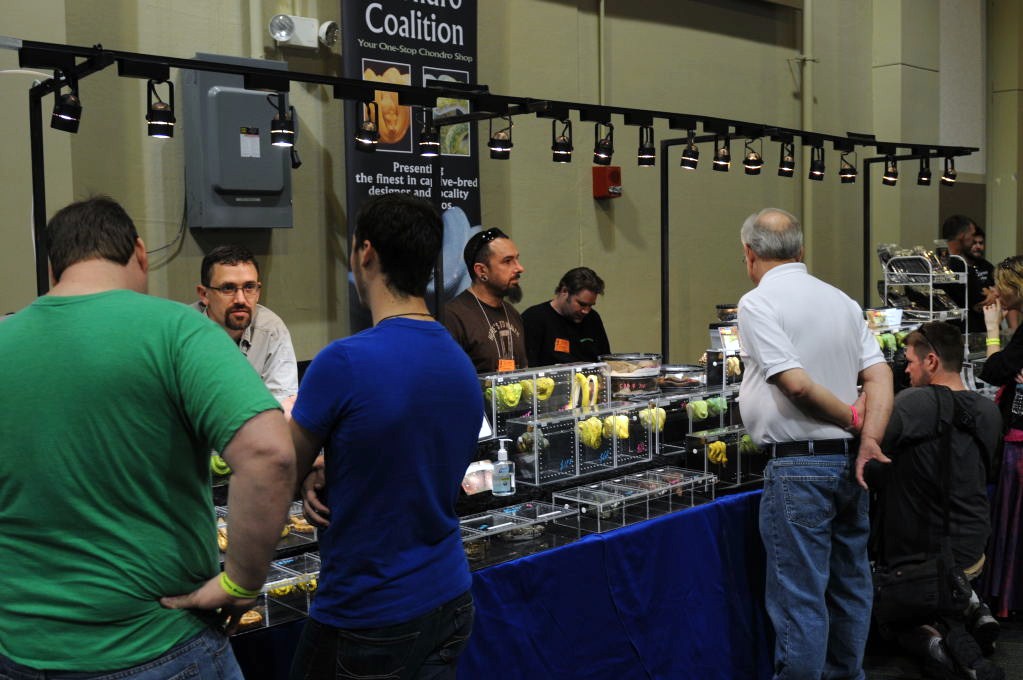 NARBC Reptile Law Summit Tinley Park Illinois