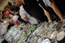 NARBC Reptile Law Summit Tinley Park Illinois