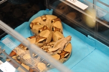 NARBC Reptile Law Summit Tinley Park Illinois