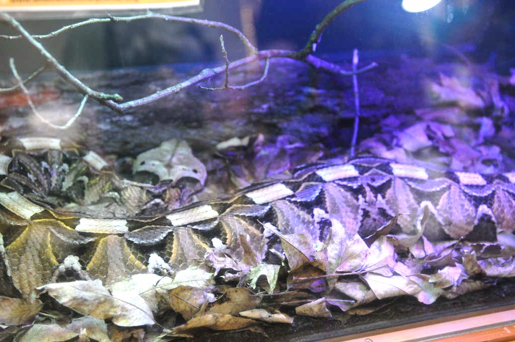 NARBC Reptile Law Summit Tinley Park Illinois
