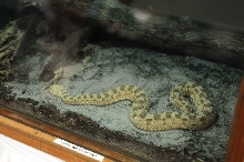 NARBC Reptile Law Summit Tinley Park Illinois