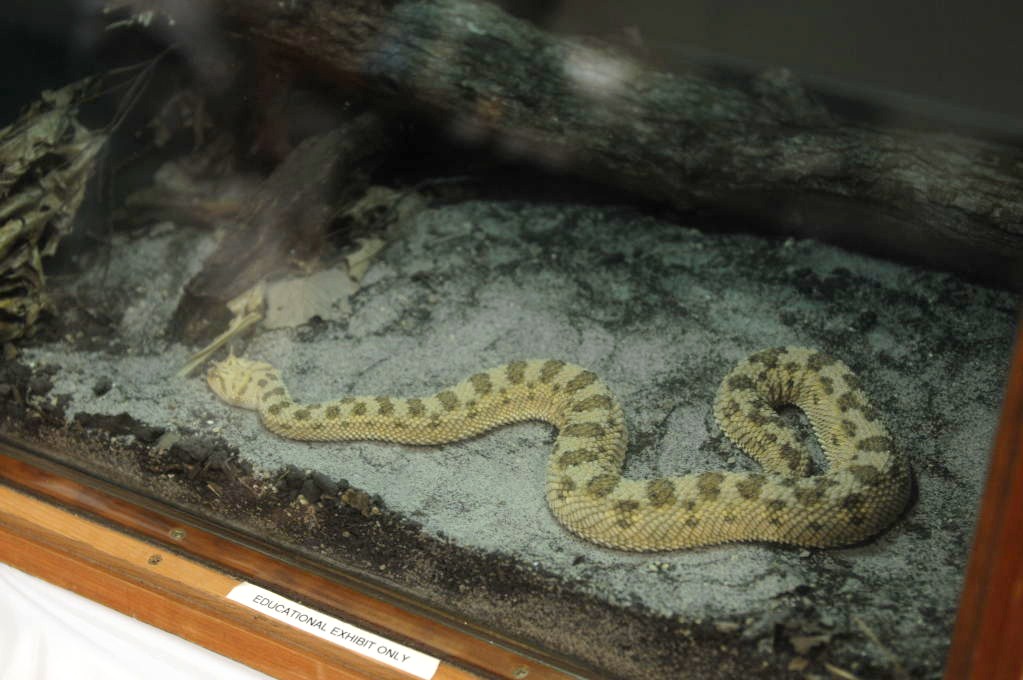 NARBC Reptile Law Summit Tinley Park Illinois