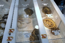 NARBC Reptile Law Summit Tinley Park Illinois