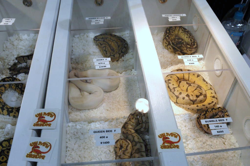 NARBC Reptile Law Summit Tinley Park Illinois
