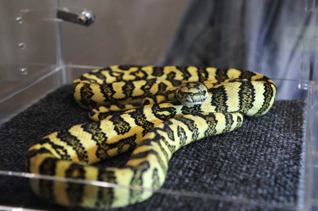 NARBC Reptile Law Summit Tinley Park Illinois