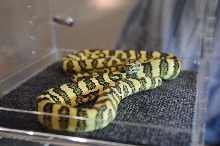 NARBC Reptile Law Summit Tinley Park Illinois
