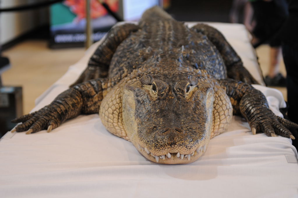 NARBC Reptile Law Summit Tinley Park Illinois
