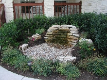 Pond and Water Garden Photos
