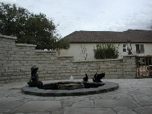 Pond and Water Garden Photos