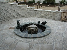 Pond and Water Garden Photos