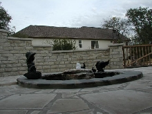 Pond and Water Garden Photos