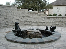 Pond and Water Garden Photos