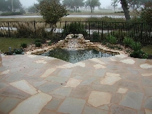 Pond and Water Garden Photos