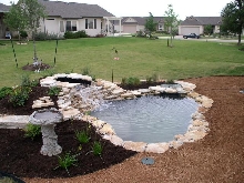 Pond and Water Garden Photos