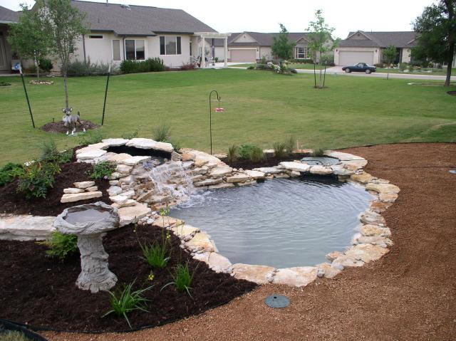 Pond and Water Garden Photos