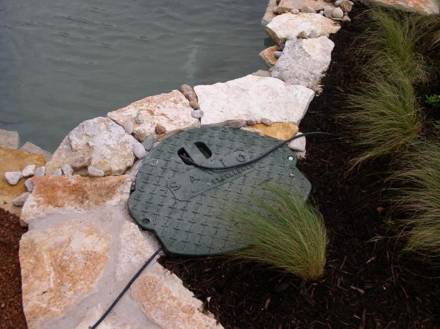 Pond and Water Garden Photos