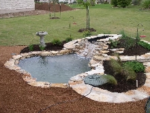 Pond and Water Garden Photos