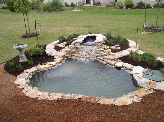 Pond and Water Garden Photos