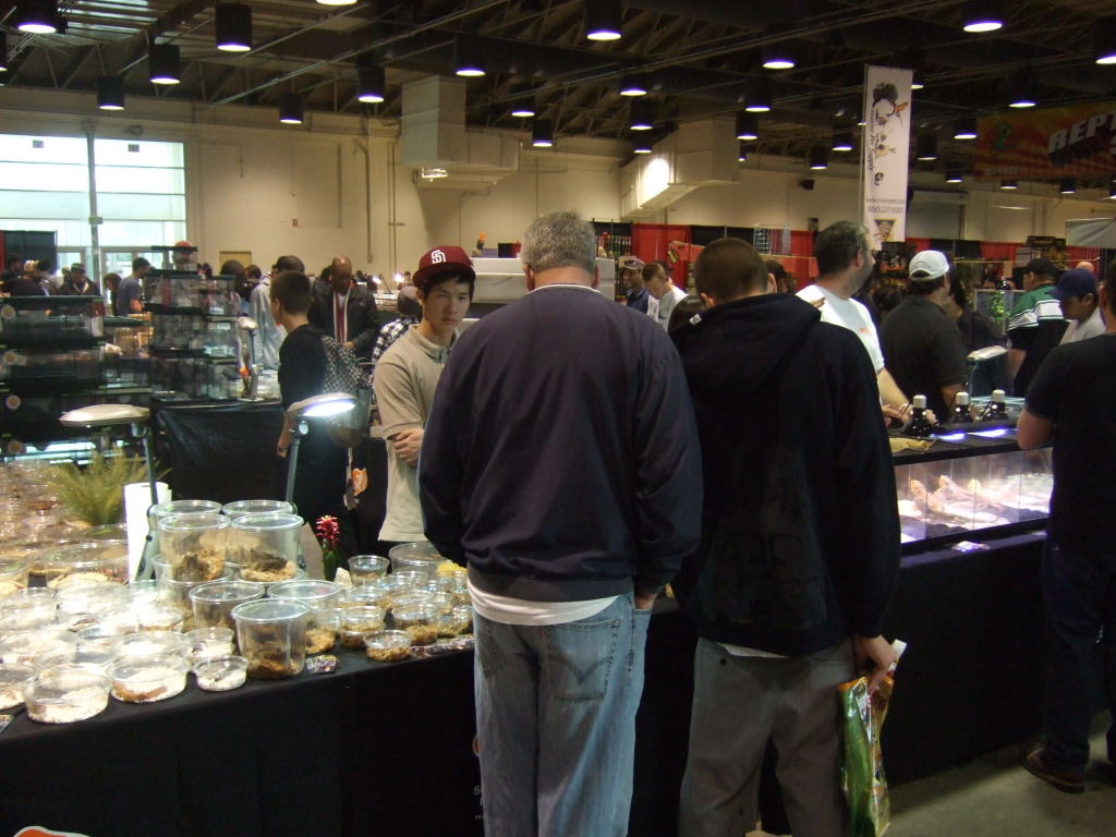 Reptile Supershow, Pomona California, January 8/9, 2011 Los Angeles County