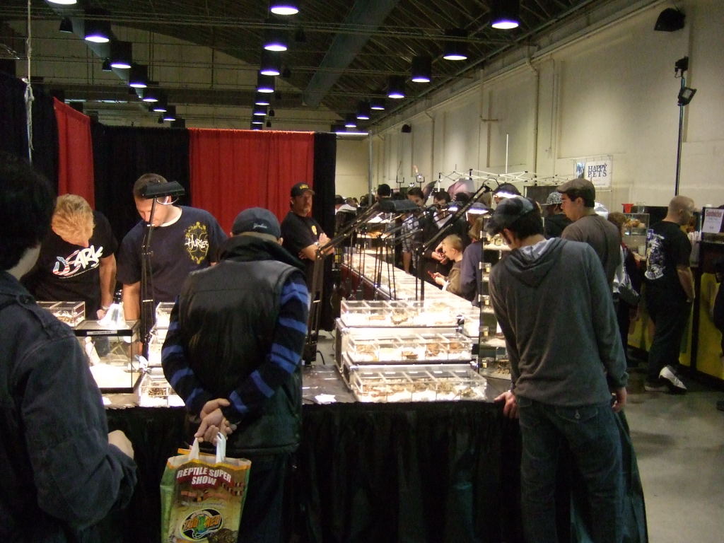 Reptile Supershow, Pomona California, January 8/9, 2011 Los Angeles County