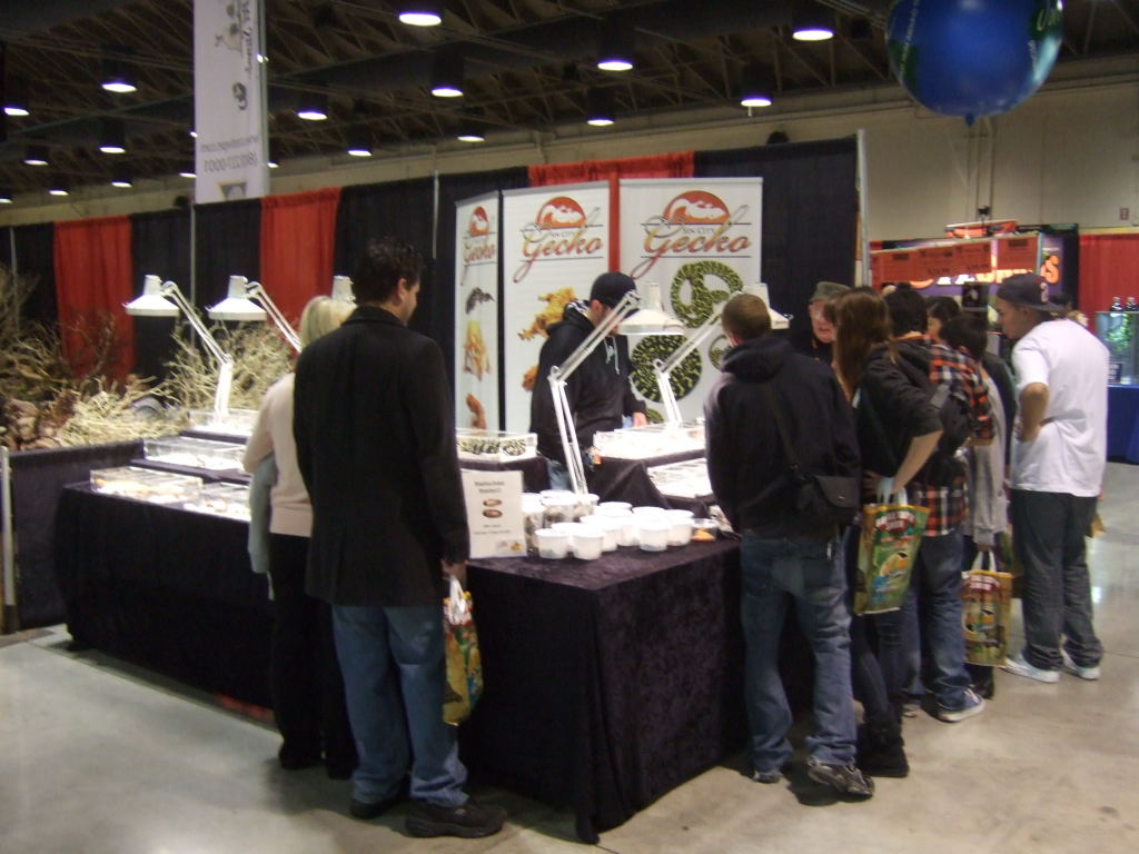Reptile Supershow, Pomona California, January 8/9, 2011 Los Angeles County