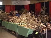 Reptile Supershow, Pomona California, January 8/9, 2011 Los Angeles County