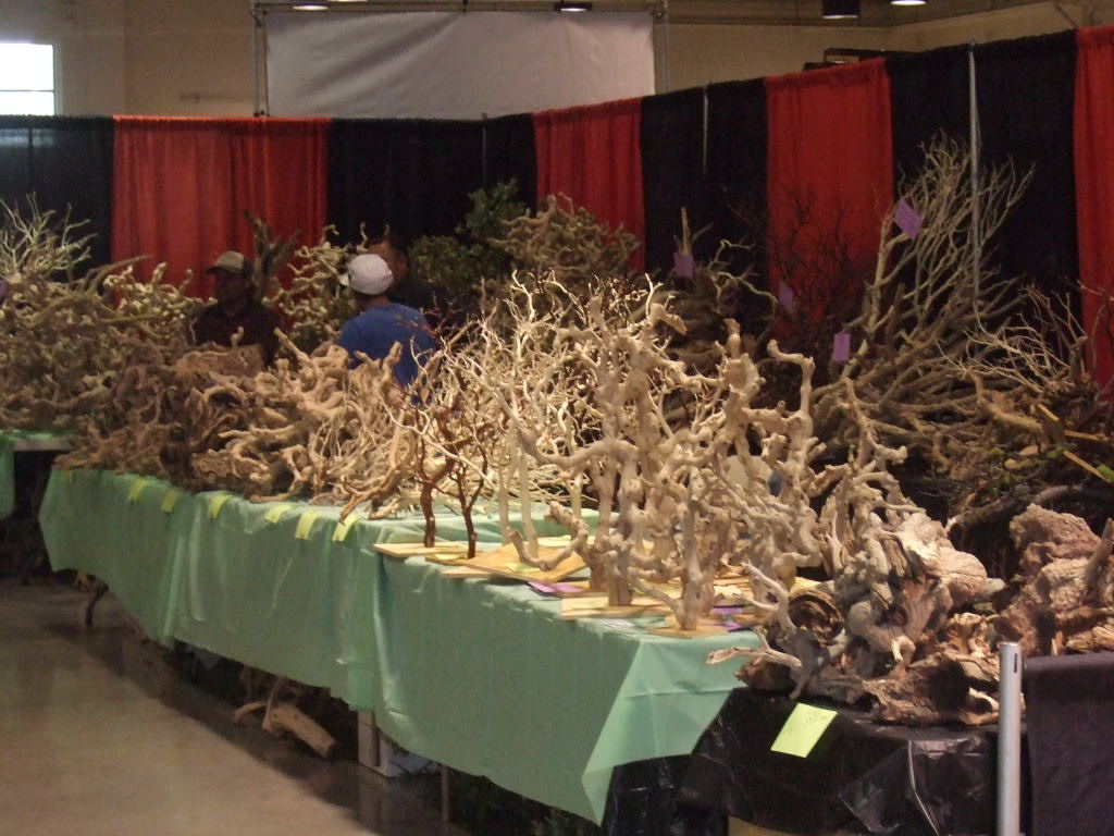 Reptile Supershow, Pomona California, January 8/9, 2011 Los Angeles County