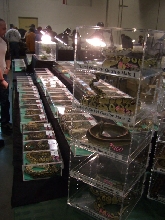 Reptile Supershow, Pomona California, January 8/9, 2011 Los Angeles County