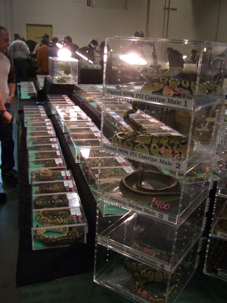 Reptile Supershow, Pomona California, January 8/9, 2011 Los Angeles County