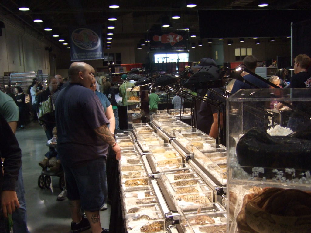 Reptile Supershow, Pomona California, January 8/9, 2011 Los Angeles County