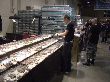 Reptile Supershow, Pomona California, January 8/9, 2011 Los Angeles County