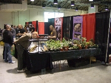 Reptile Supershow, Pomona California, January 8/9, 2011 Los Angeles County